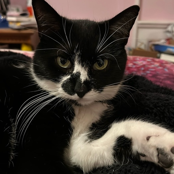 Meet your Posher, Regina - Picture 2 of 3